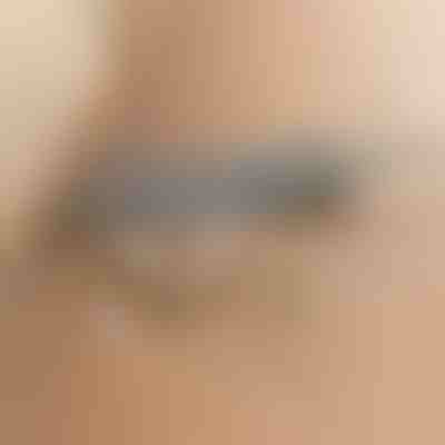 Aspiratore telescopico | ARTICLEAN