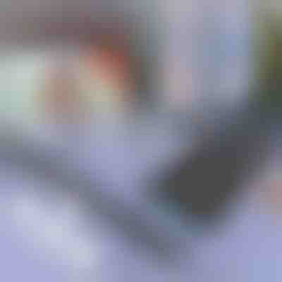 Parasole per auto e finestre | SUNGUARD