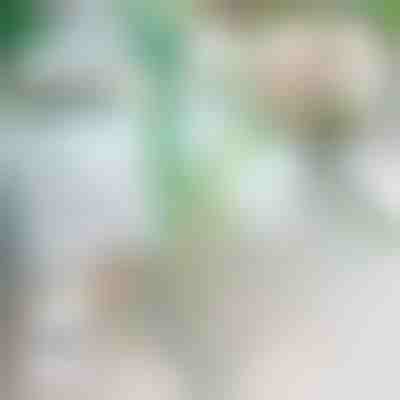 Fermapiante autunnale | ROOTZI