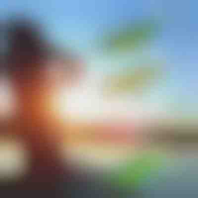 Esche per la pesca (set di 4) | AQUALURE