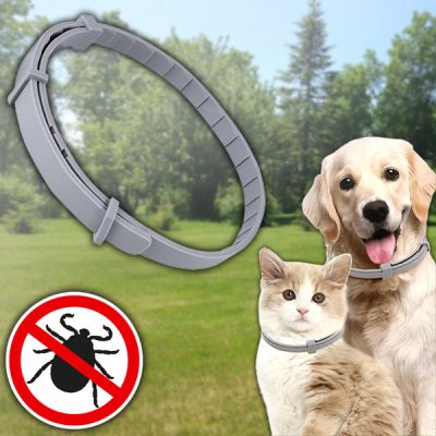 Un collare che respinge zecche e pulci, per cani e gatti | PETPROTECT