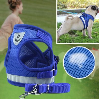 Pettorina e guinzaglio riflettenti regolabili | LEASHNGO