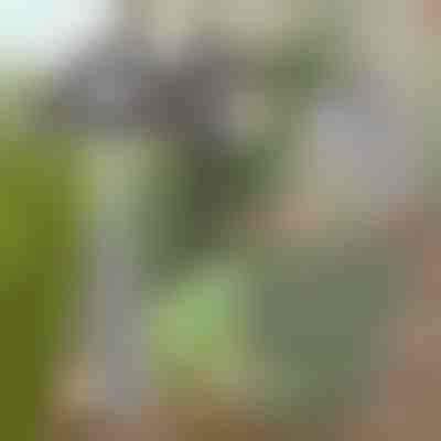 Zappa da giardino per una facile rimozione delle erbacce | GRASSOE