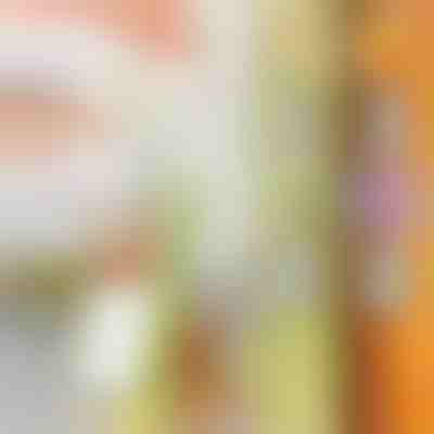 Affettatrice multifunzione per verdura e frutta | SLICEWISE
