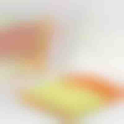 Pulitore per tende che dimezza il tempo | BLINDY