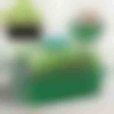 Vassoio per la coltivazione delle piantine con scomparti | PLANTURKA