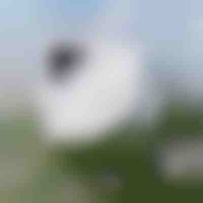 Pulizia delle finestre senza sforzo | WINDOWSWIPE