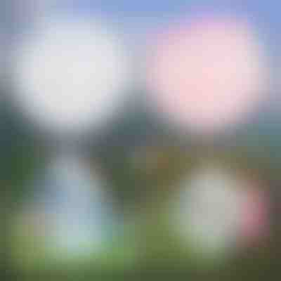 Bolla gonfiabile multiuso | SLIMEBUB