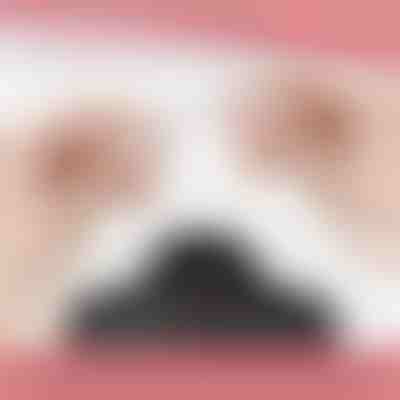 Chiusura magnetica per collana (12 pz) | MAGILINK