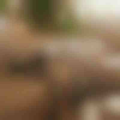 Organizzatore di cavi magnetico autoadesivo (12 pezzi) | CABLIP