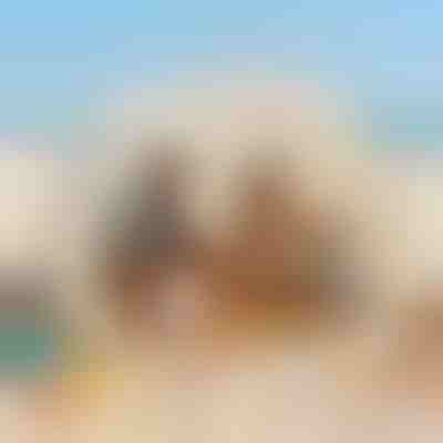 Tenda da Spiaggia Pop-Up - Riparo Solare UPF50+, 120x120x100 cm | POPYTENT